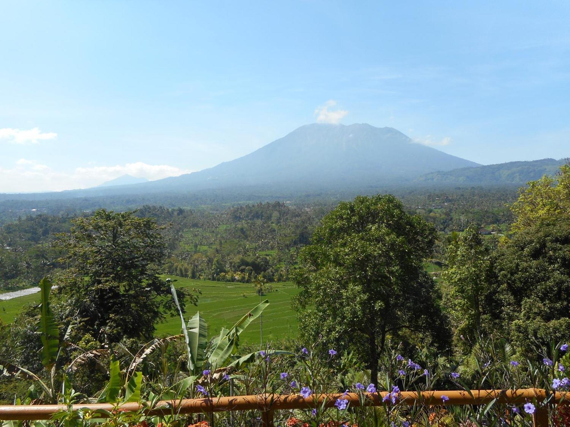 Villa Dukuh Selat Экстерьер фото
